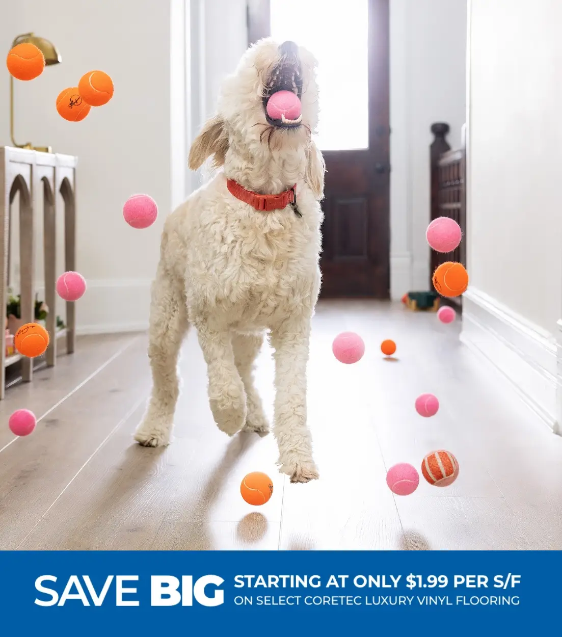Save big starting at only $1.99 per S/F | Carpet Exchange